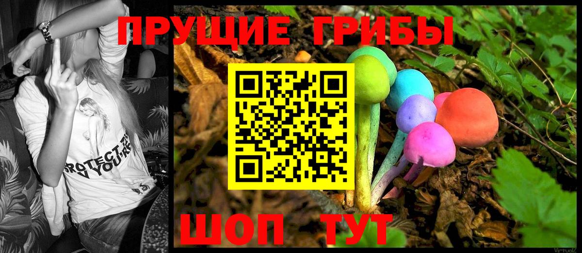 Псилоцибиновые грибы Psilocybe Когалым